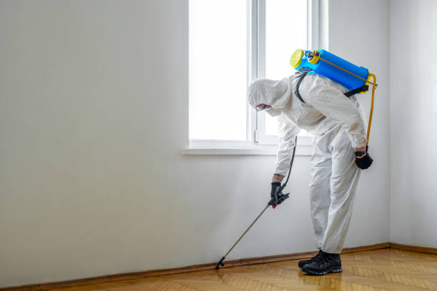 Best Pest Prevention Services  in Trail Creek, IN